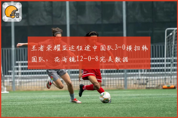 王者荣耀亚运征途中国队3-0横扫韩国队，花海镜12-0-8完美数据